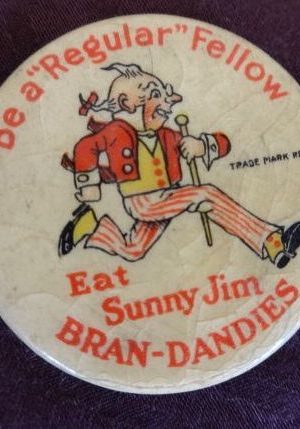 Sunny Jim w w denslow button