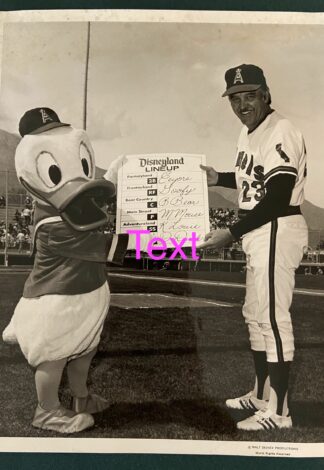 Disneyland Anaheim Angels Baseball Photograph Donald Duck 1966 Family Fun Day