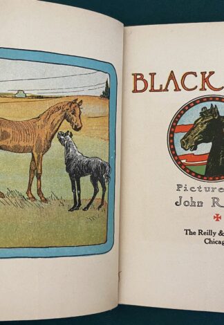 Black Beauty Book John R Neill Reilly & Lee