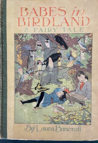 Babes in Birdland 1911 L Frank Baum 1st Edition Book