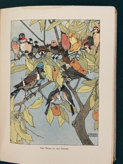 BABES IN BIRDLAND Laura Bancroft L Frank Baum Book Oz 1st Edition/1st Print 1911 - Image 9