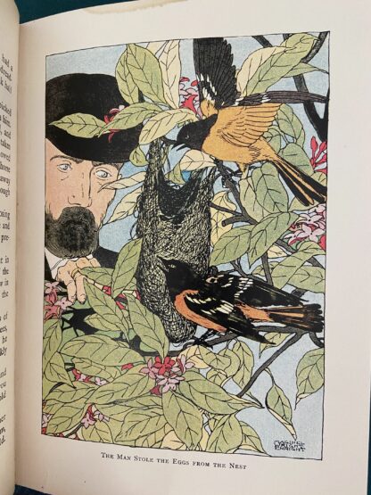 BABES IN BIRDLAND Laura Bancroft L Frank Baum Book Oz 1st Edition/1st Print 1911 - Image 7