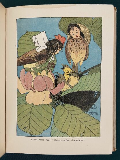 BABES IN BIRDLAND Laura Bancroft L Frank Baum Book Oz 1st Edition/1st Print 1911 - Image 6