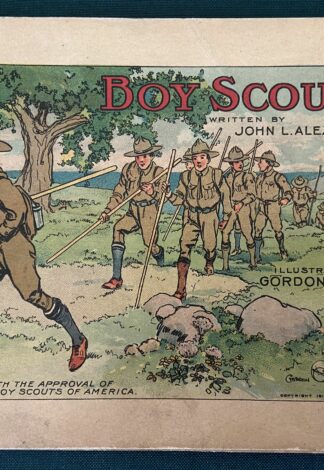 Boy Scouts Book W W Denslow 1911