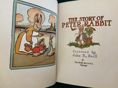 LITTLE BLACK SAMBO-PETER RABBIT John R Neill Oz Turnover Book - Image 8