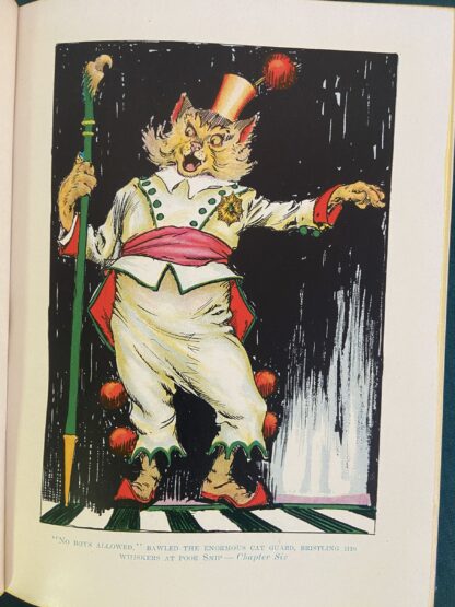 LOST KING OF OZ Book 12 Color Plates Ruth Plumly Thompson 1927-1928 - Image 6