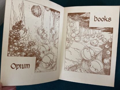 Queen Zixi of Ix L Frank Baum Book 1969 Opium Press Richardson Illus. - Image 2