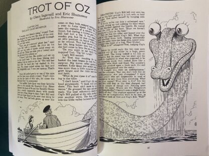 Oz Story Graphic Novel Eric Shanower L Frank Baum