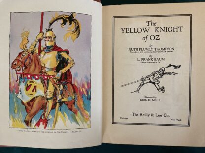 1st Edn YELLOW KNIGHT OF OZ 12 Color Plates 1930 Ruth Plumly Thompson - Image 6