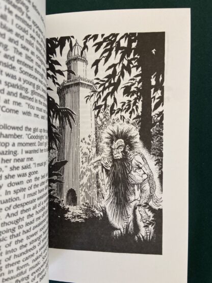Sold: Spectral Snow Dark Fantasies of Jack Snow incl Murder in Oz Eric Shanower - Image 4