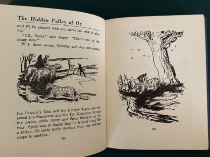 1st Edn HIDDEN VALLEY OF OZ Book + Dust Jacket Rachel Cosgrove Baum Wizard of Oz 1951 - Image 2