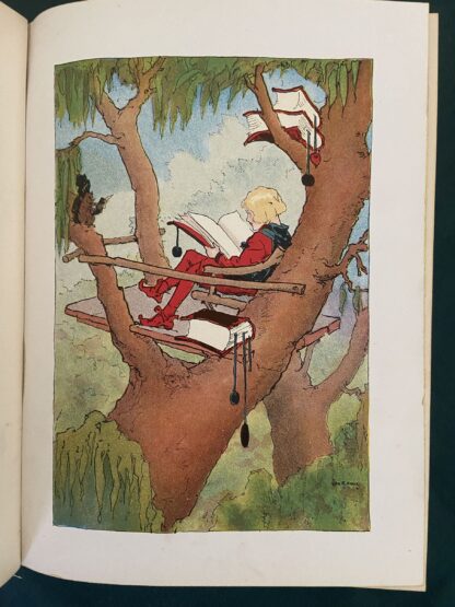 RINKITINK IN OZ 1st Edition/1st Print 1916 Reilly & Britton 12 Color Plates, L Frank Baum - Image 9