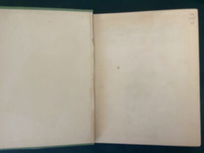 WIZARD OF OZ WADDLE BOOK 1st Edn 1st State 1934 L Frank Baum - Image 13