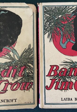 Bandit Jim Crow Dust Jacket L Frank Baum Reilly & Britton Book
