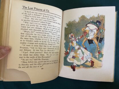 LOST PRINCESS OF OZ Book 1917 1st Edition/1st Prt Reilly & Britton - Image 8