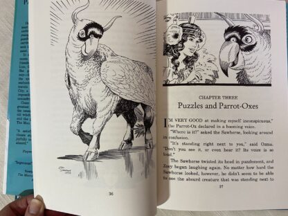 PARADOX IN OZ Book by Einhorn, Eric Shanower Art 1st Printing 2000, Wizard of Oz Pastiche - Image 7