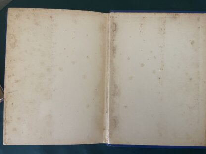 The SEA FAIRIES 1930s Color Frontis with Dust Jacket L Frank Baum Wizard of Oz Book - Image 5