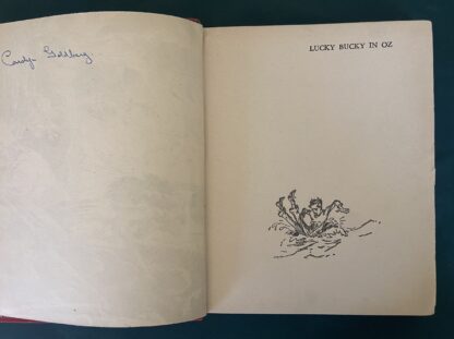 British LUCKY BUCKY IN OZ Book John R Neill Hutchinson Edition Wizard of Oz - Image 4