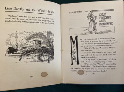 DOROTHY and THE WIZARD IN OZ Baum 1st/1st 16 Color Plates L Frank Baum 1908 - Image 13