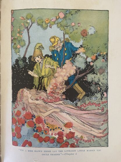 Grampa in Oz Book, 12 Color Plates Ruth Plumly Thompson Reilly & Lee, late 1920s - Image 7