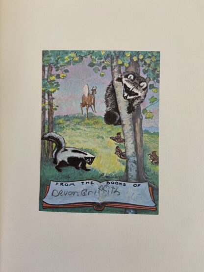 THE LAND OF OZ Book Baum Reilly & Lee White Cover Edition - Image 6