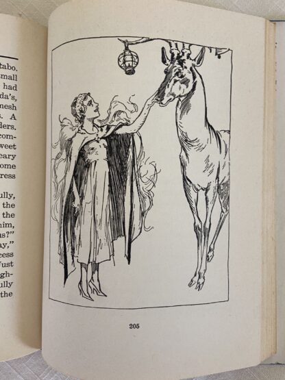 OZOPLANING with the Wizard of OZ w/ Dust Jacket DJ Vintage Ruth Plumly Thompson - Image 3