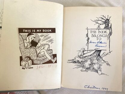 SHAGGY MAN OF OZ Book 1st Edition  Dust Jacket Jack Snow, John R Neill - Image 3