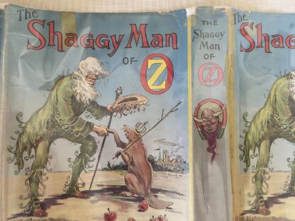 SHAGGY MAN OF OZ Book 1st Edition  Dust Jacket Jack Snow, John R Neill - Image 6