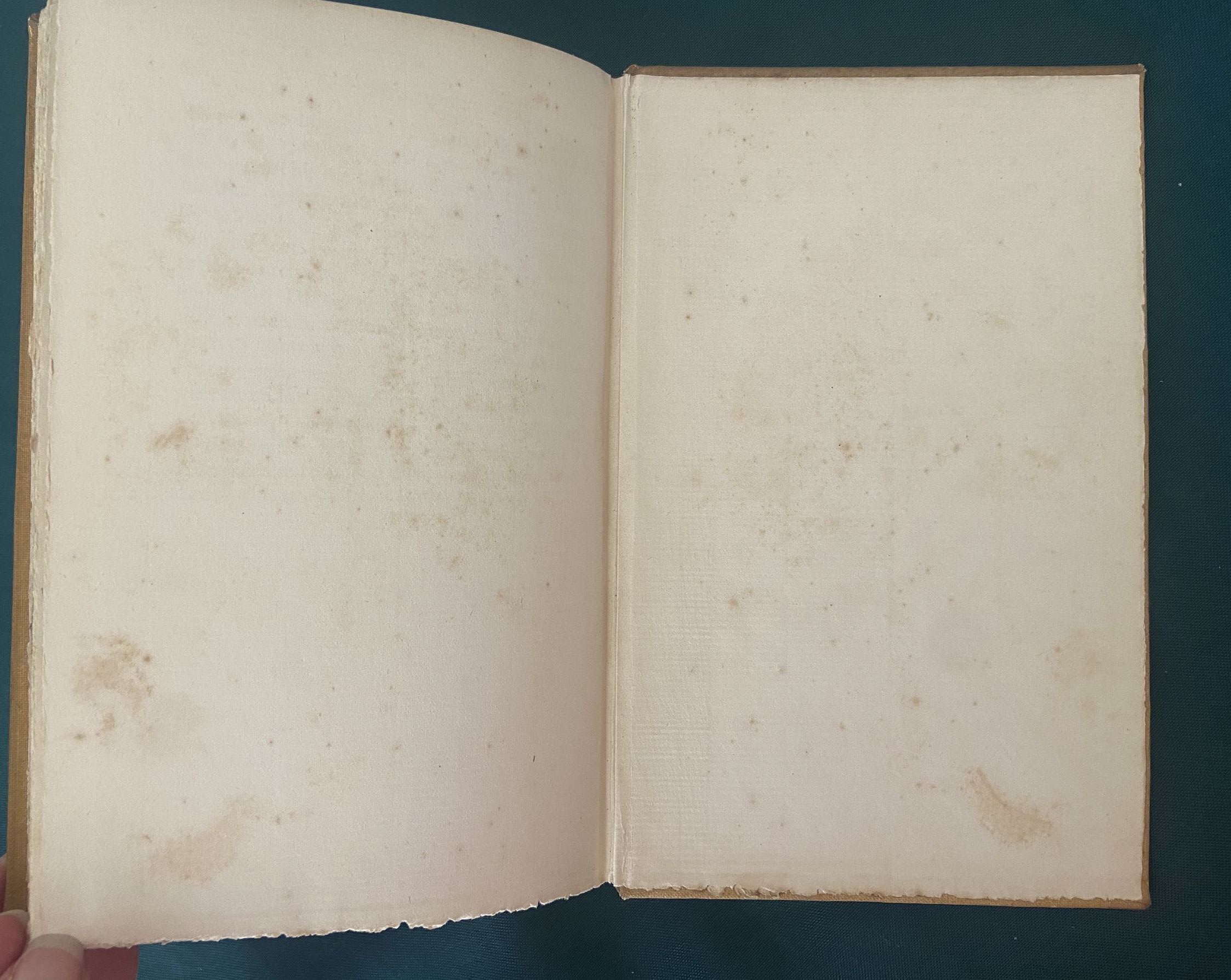 W W Denslow Book Cover A Colonial Dame Signed by Author 1897 Rand McNally - Image 4