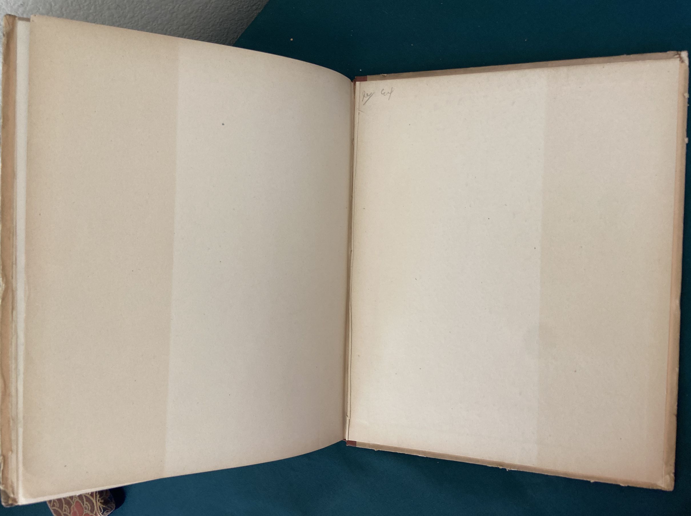 SONGS OF FATHER GOOSE L Frank Baum W W Denslow Oz 1st Edn 1900 Hill - Image 11