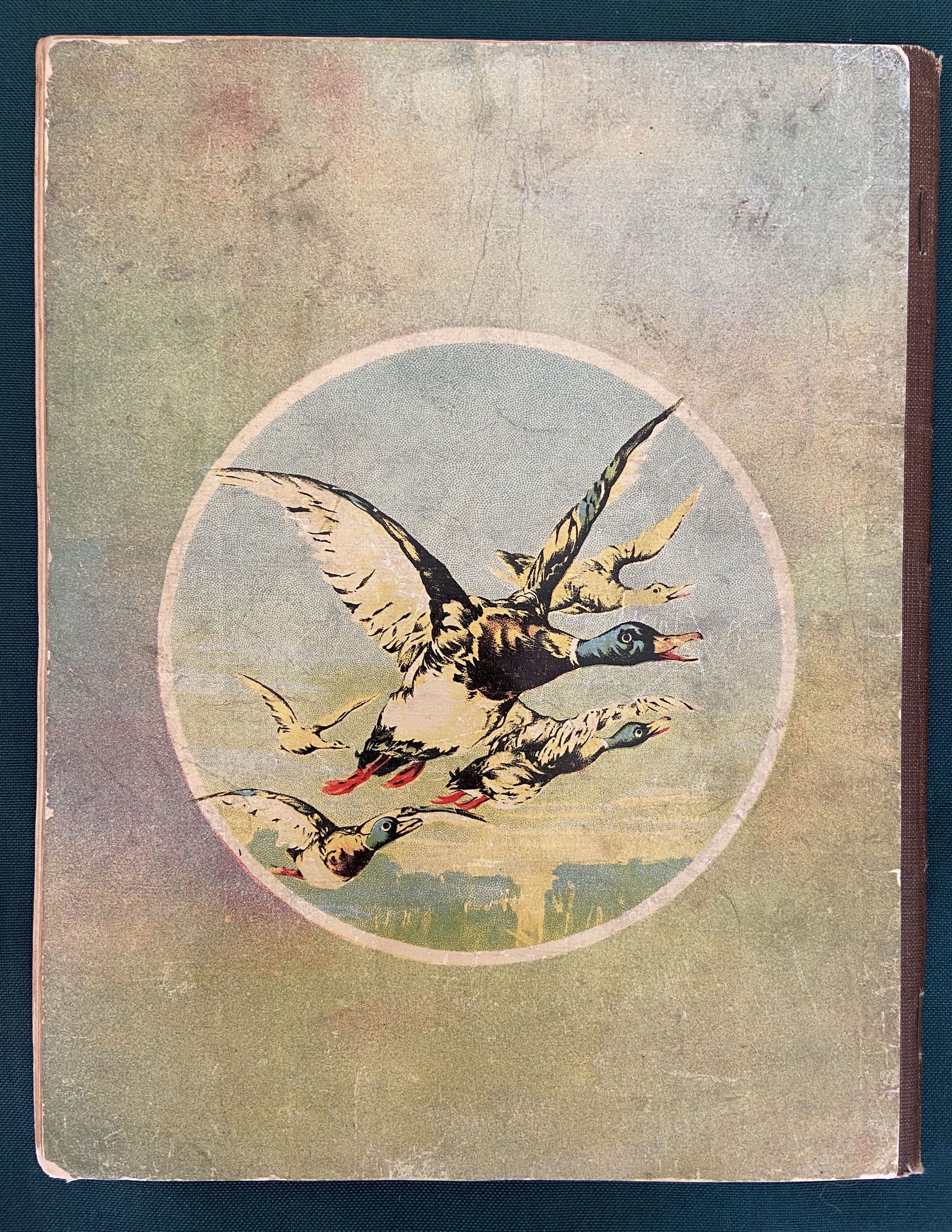 PICTURES FROM THE WONDERFUL WIZARD OF OZ W W Denslow Ogilvie Scarce 1903 Book - Image 12