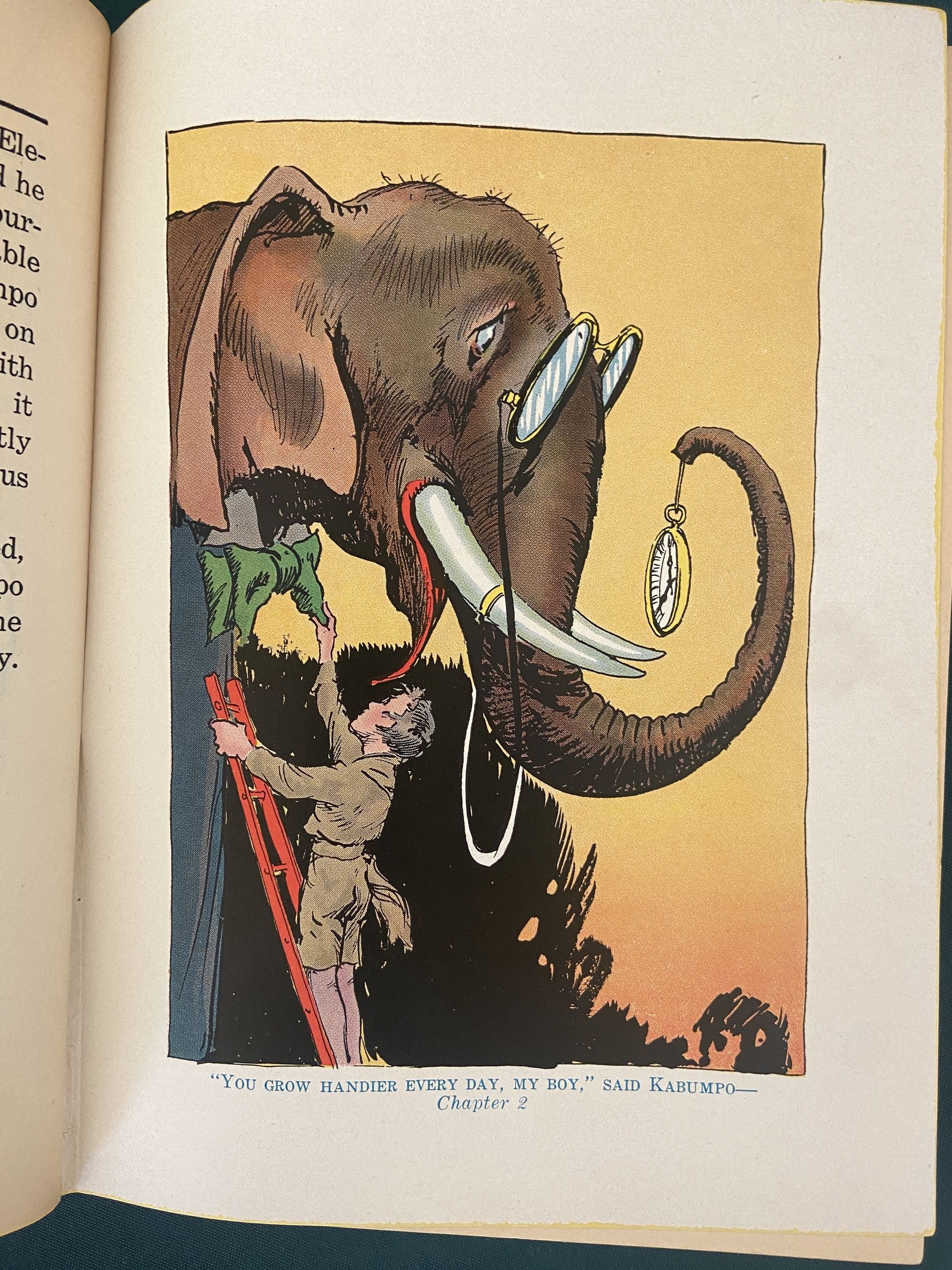 PURPLE PRINCE OF OZ 1932 1st Edn Book in Dust Jacket, Ray Powell's Copy, 12 Color Plates - Image 10