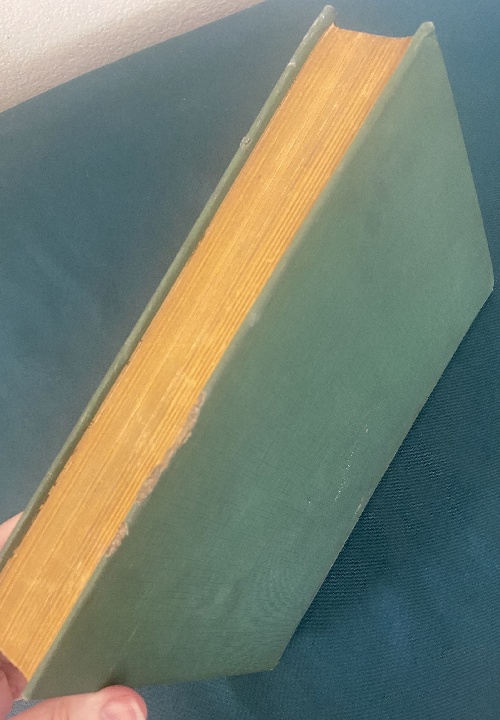 Sold: PIRATES IN OZ 1931 1st Edition Canadian Copp Clark Book Ruth Plumly Thompson - Image 11