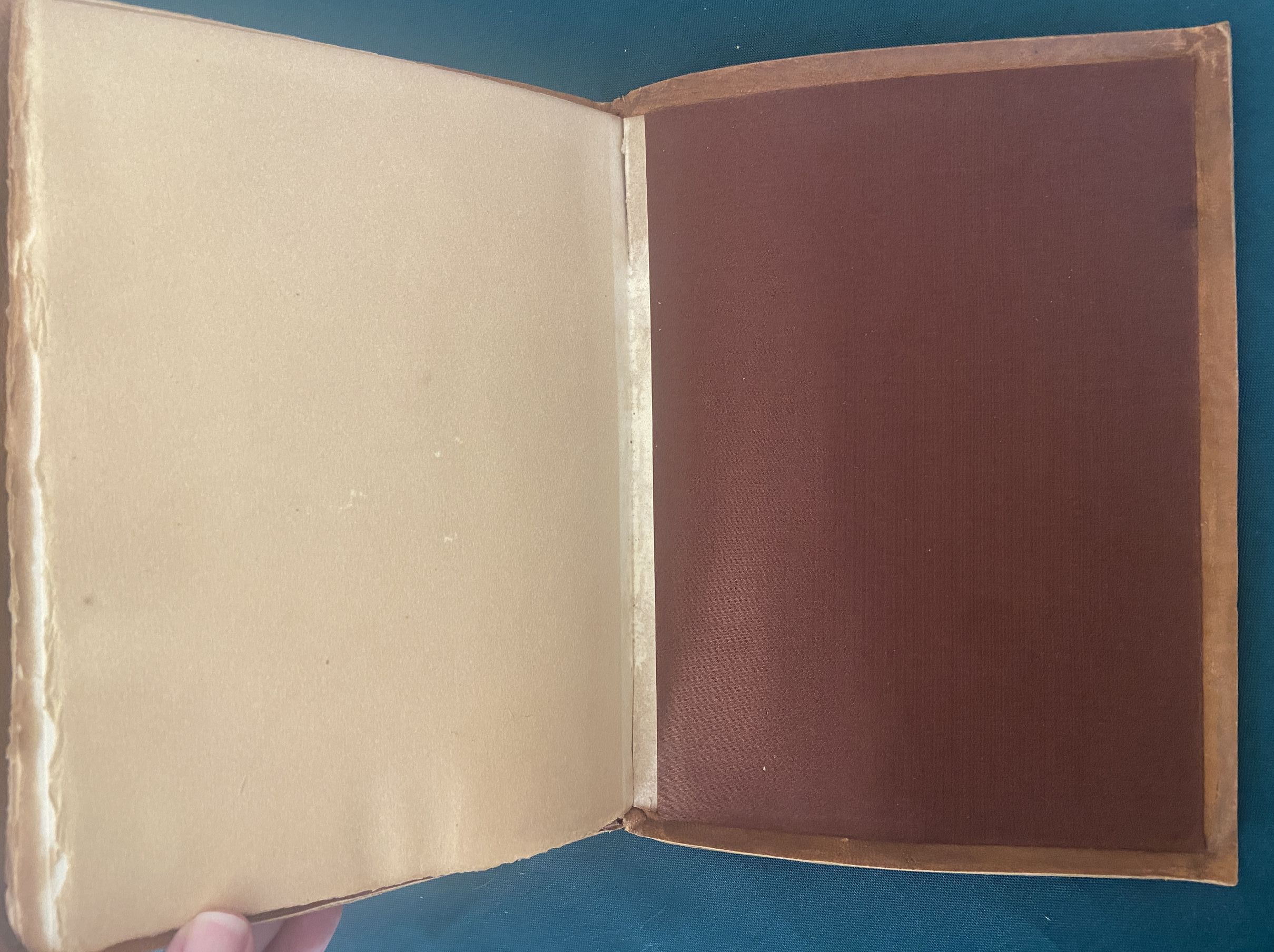 1899 Thoreau Essay on FRIENDSHIP Illumined Denslow Initials Roycroft Roycrofters - Image 6