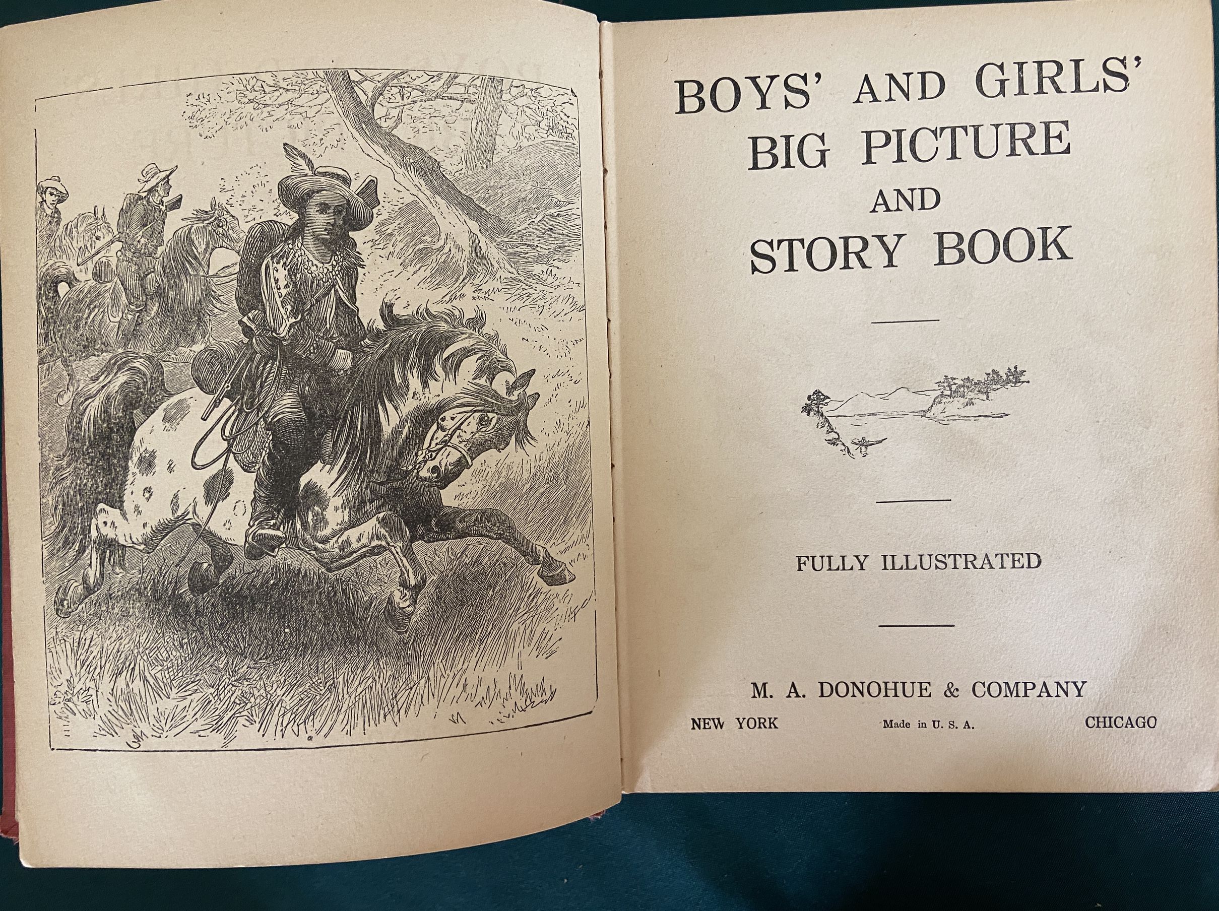 Oz Oddity Enchanted Island of Yew Fairy Cover Boys and Girls Big Picture Story Book - Image 3