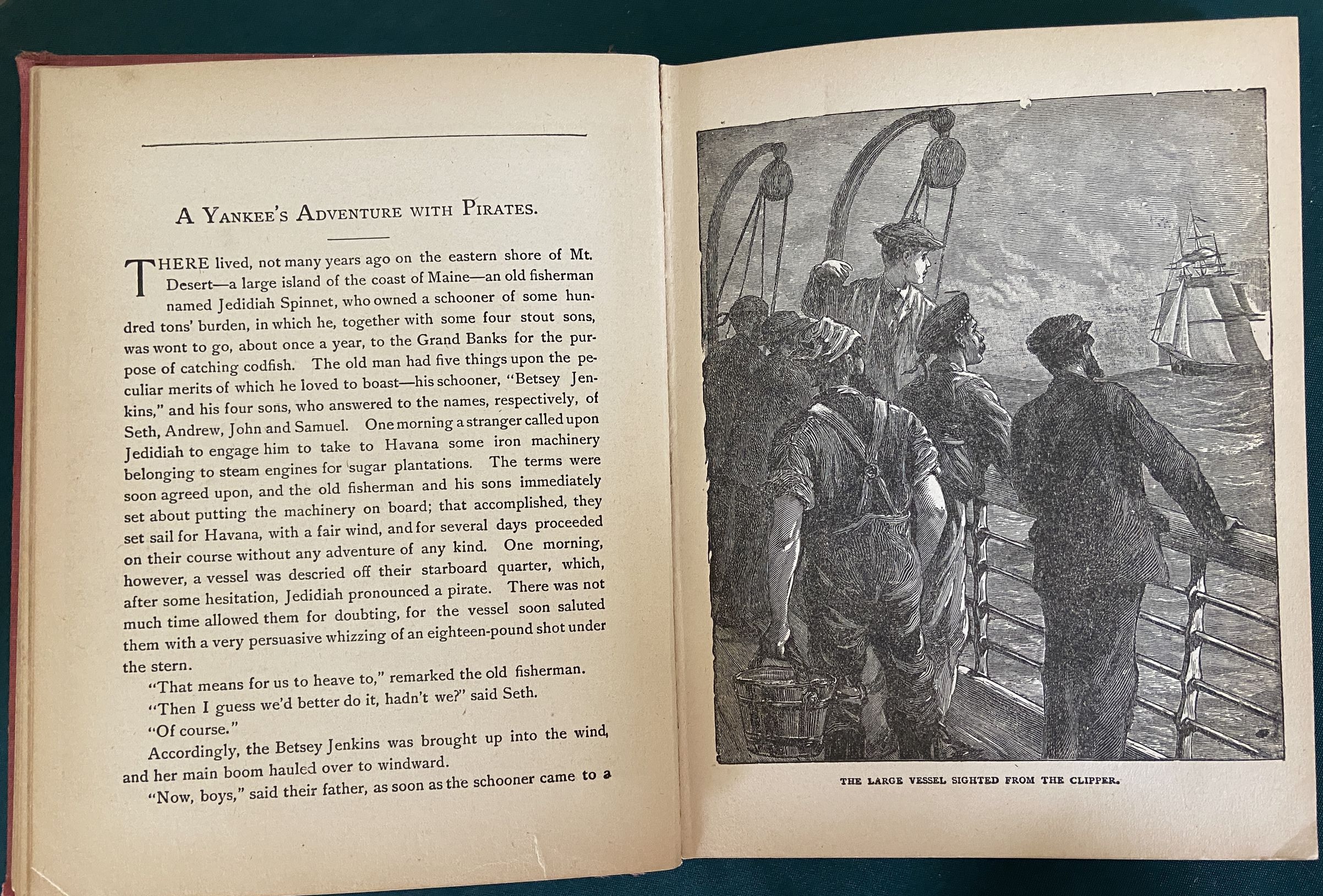 Oz Oddity Enchanted Island of Yew Fairy Cover Boys and Girls Big Picture Story Book - Image 4